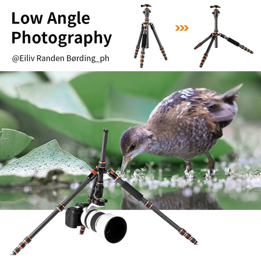 K&F Concept BA225 60-Inch Carbon Fibre Monopod Tripod