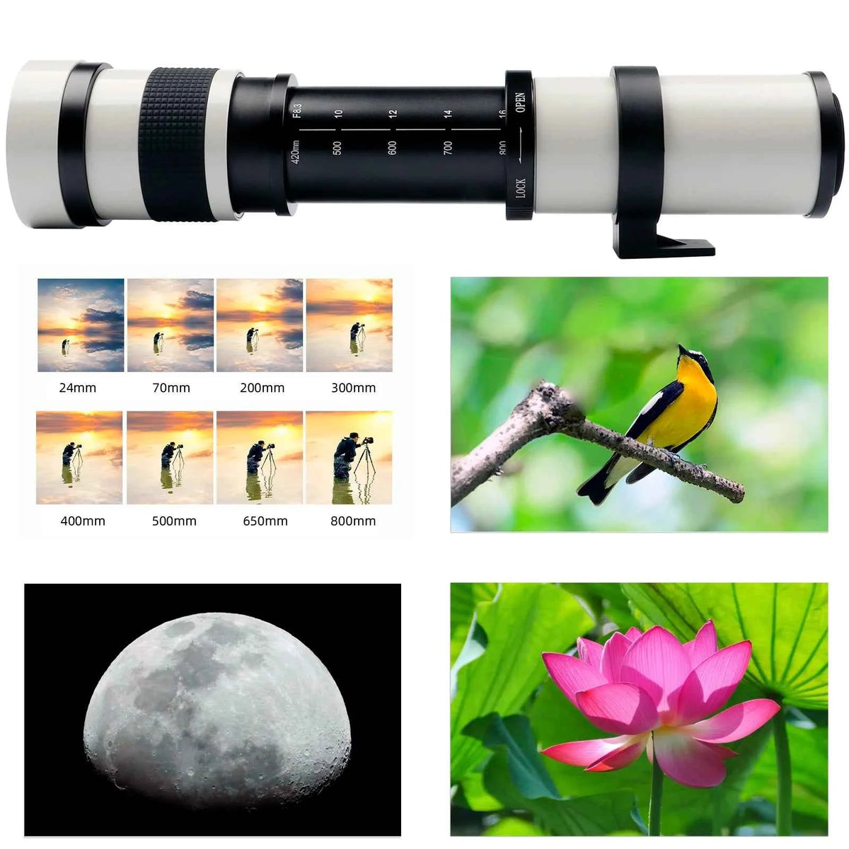 Lightdow 420-800mm f/8.3-16 Manual Super Telephoto Lens