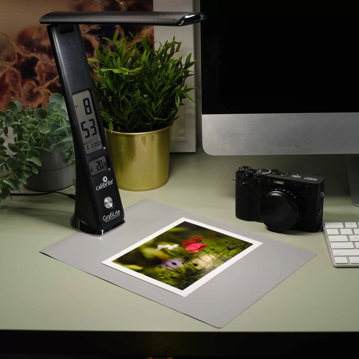 Calibrite GrafiLite in a colour-critical desktop workflow
