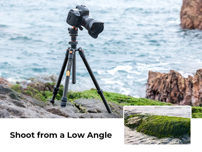 K&F Concept K254C2 Carbon Fibre Travel Tripod with 36mm Ball Head