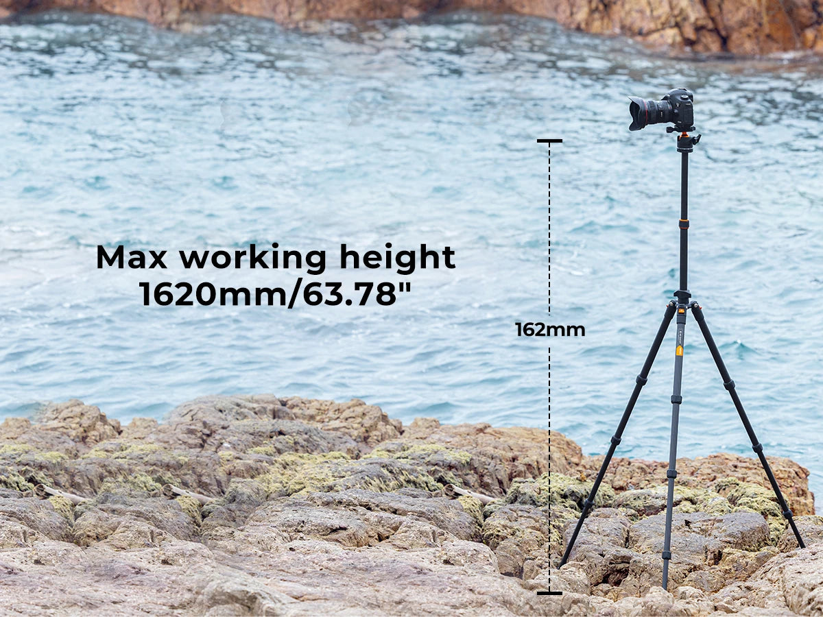 K&F Concept K254C2 Carbon Fibre Travel Tripod with 36mm Ball Head
