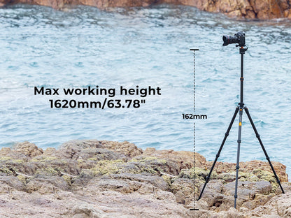 K&F Concept K254C2 Carbon Fibre Travel Tripod with 36mm Ball Head