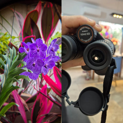 SVBONY SV202 ED Waterproof Binoculars