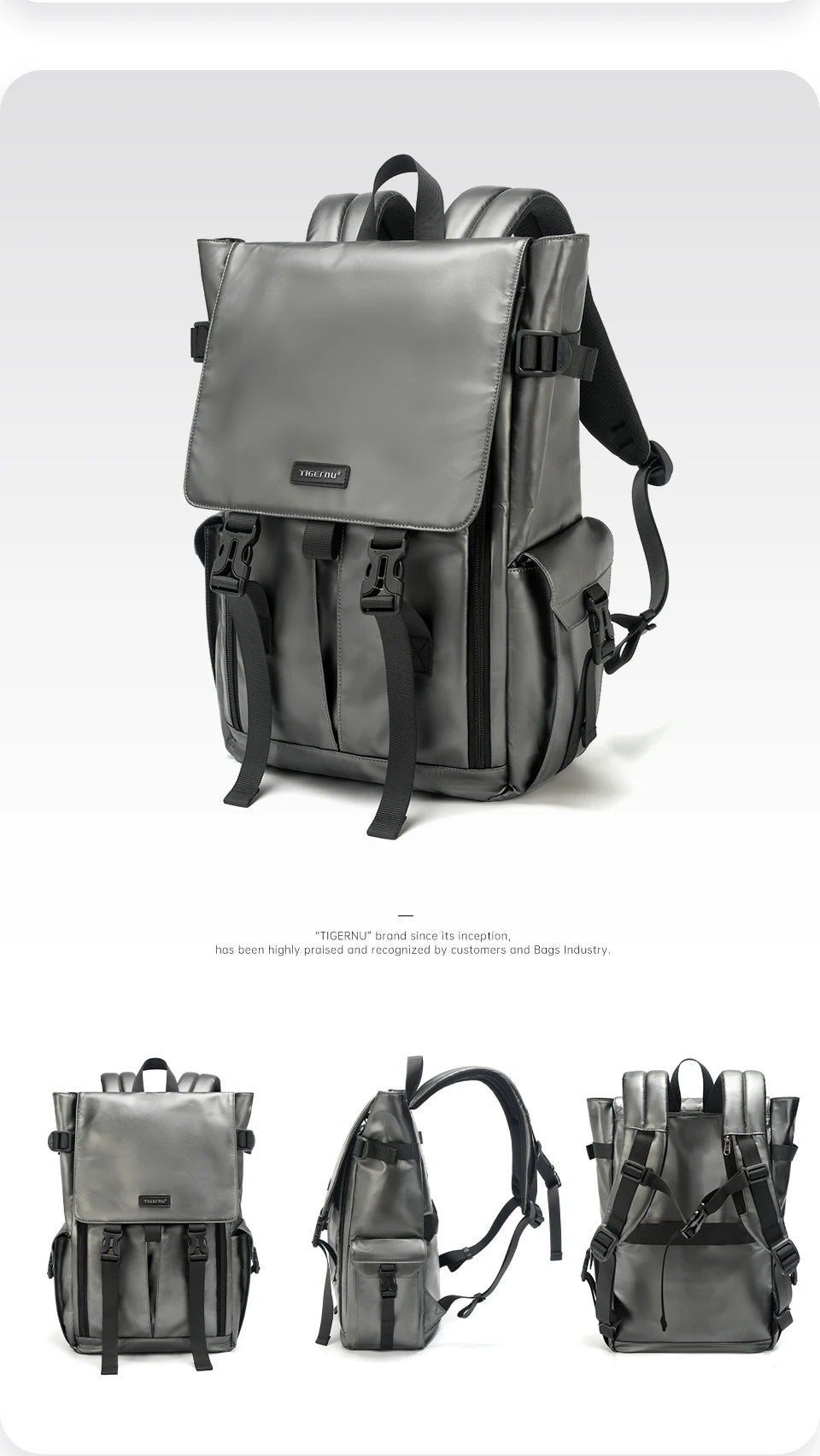 TIGERNU 15.6 Inch Laptop Travel Backpack