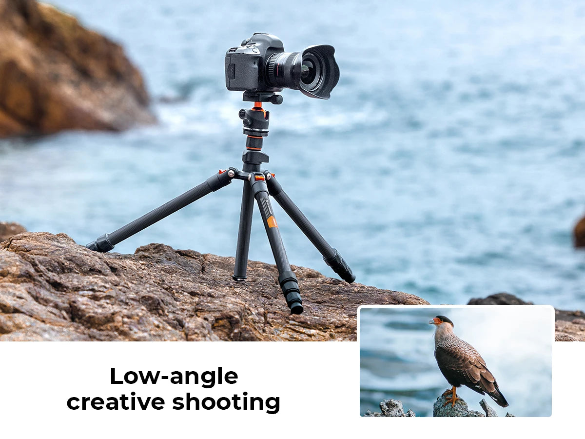 K&F Concept K254C2 Carbon Fibre Travel Tripod with 36mm Ball Head