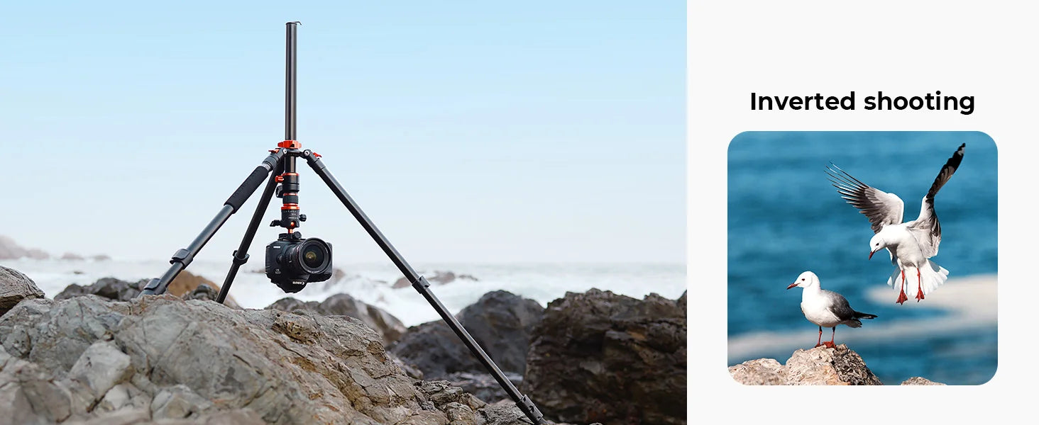 K&F Concept T254A7 90-Inch Aluminium Monopod Tripod