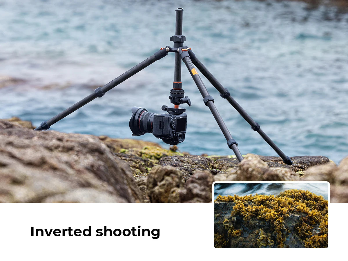 K&F Concept K254C2 Carbon Fibre Travel Tripod with 36mm Ball Head