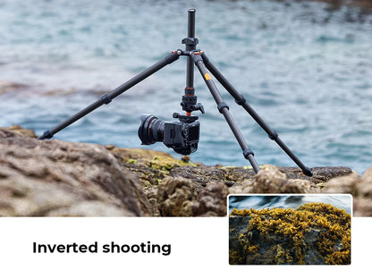 K&F Concept K254C2 Carbon Fibre Travel Tripod with 36mm Ball Head