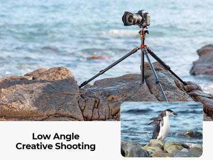 K&F Concept 80.7-Inch Aluminium Camera Tripod with 10kg Load Capacity
