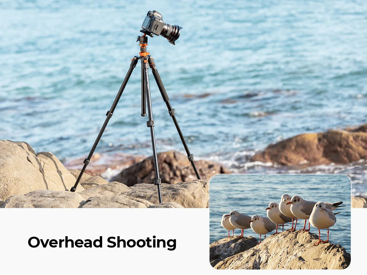 K&F Concept 80.7-Inch Aluminium Camera Tripod with 10kg Load Capacity