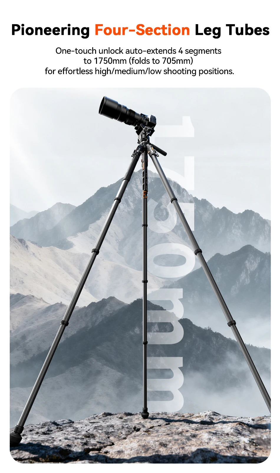 COMAN T1/T1S V5 Carbon Fibre Tripod with Video Head