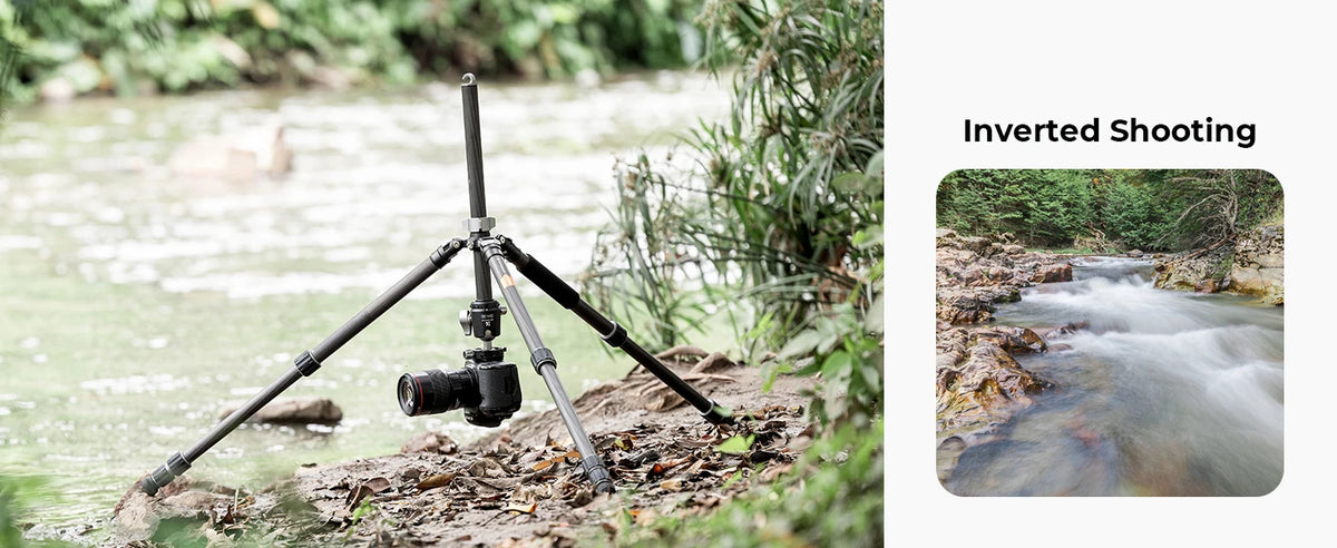 K&F X284C4 Carbon Fibre Tripod with BH-36 Ball Head