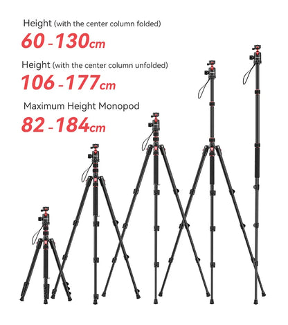 Ulanzi TT31 Claw Professional Tripod Monopod