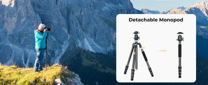 K&F X284C4 Carbon Fibre Tripod with BH-36 Ball Head
