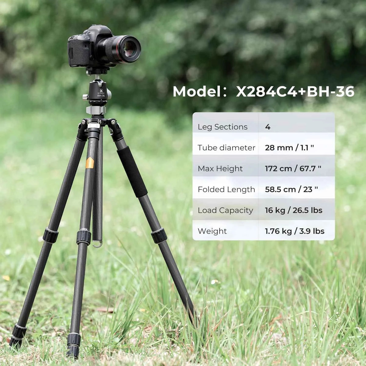K&F X284C4 Carbon Fibre Tripod with BH-36 Ball Head