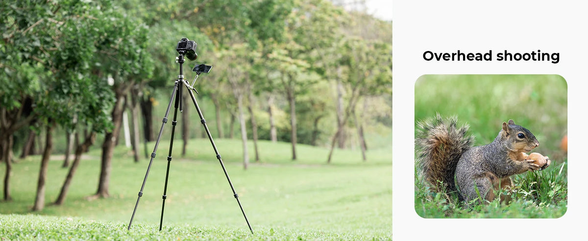 K&F X284C4 Carbon Fibre Tripod with BH-36 Ball Head