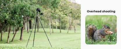 K&F X284C4 Carbon Fibre Tripod with BH-36 Ball Head