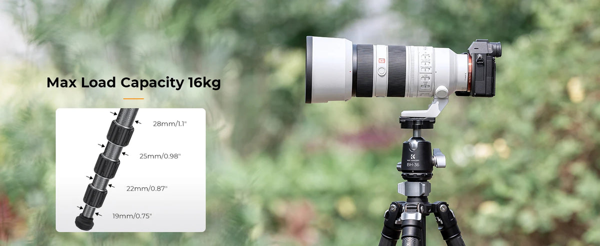 K&F X284C4 Carbon Fibre Tripod with BH-36 Ball Head