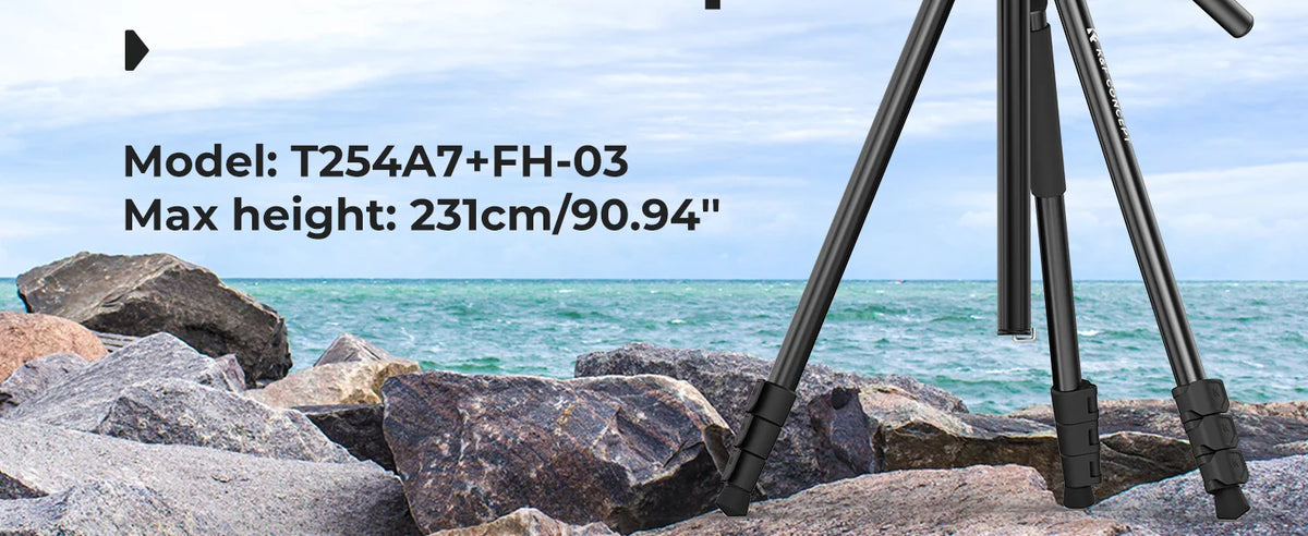 K&F T254A7 231cm Fluid Head Tripod with Transverse Column