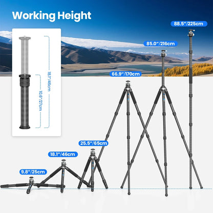 WEYLLAN GX9 Heavy-Duty Carbon Fibre Tripod