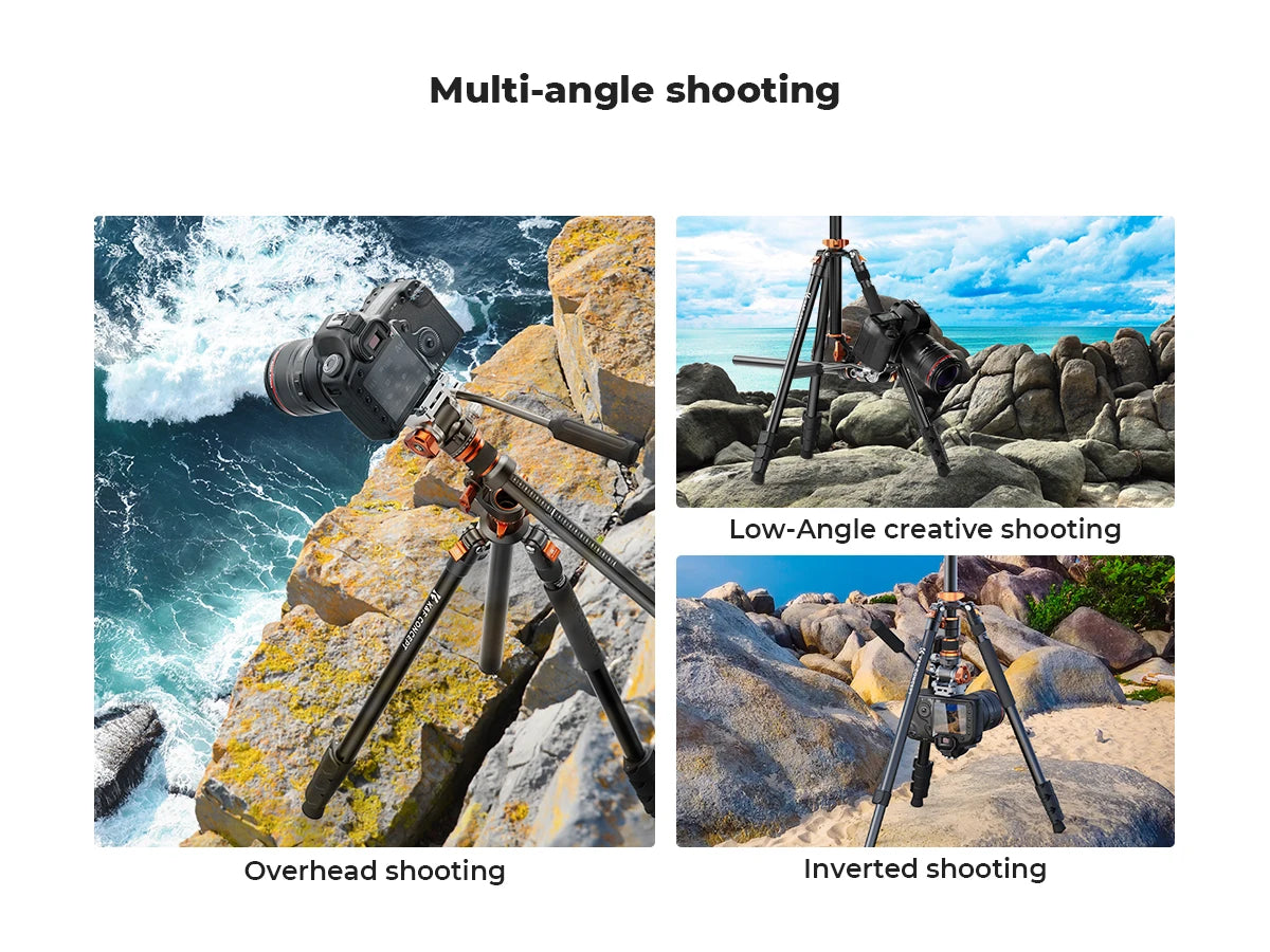 K&F T254A7 231cm Fluid Head Tripod with Transverse Column