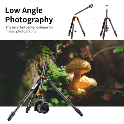 K&F Concept D254C1 63-Inch Carbon Fibre Monopod Tripod