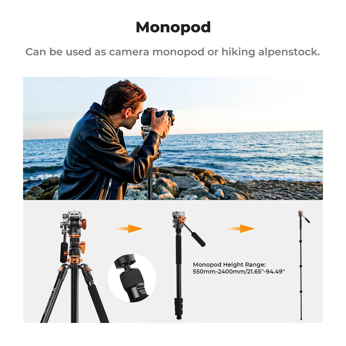 K&F T254A7 231cm Fluid Head Tripod with Transverse Column