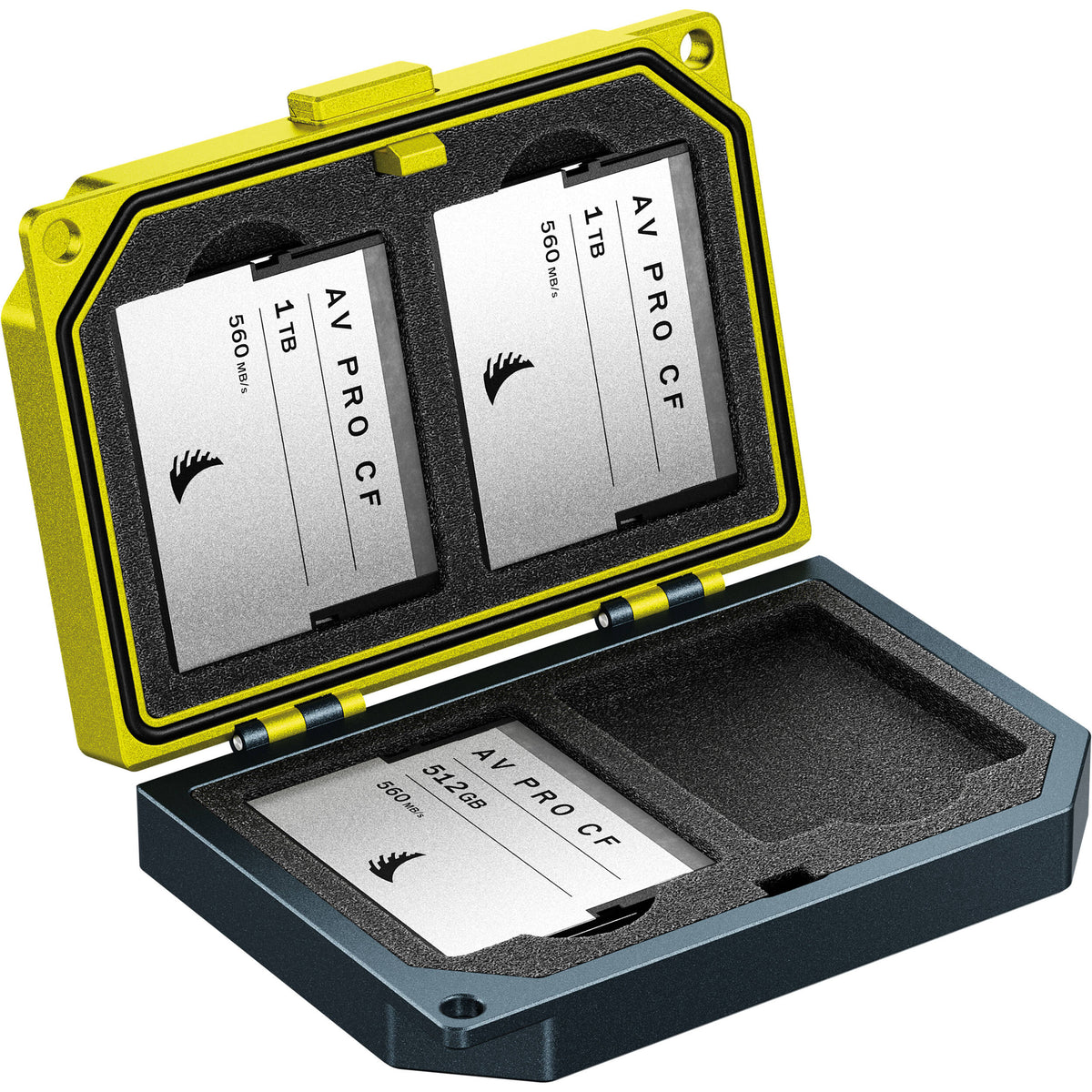 Angelbird Media Tank CFast with cards